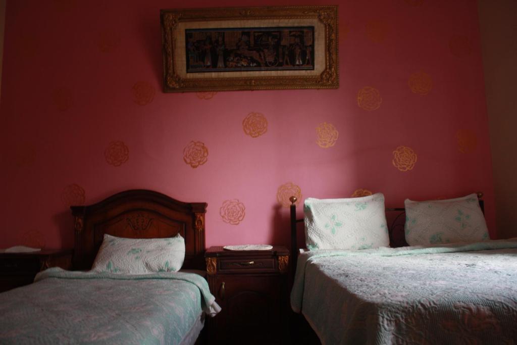 Hola Cairo Hostel Quarto foto